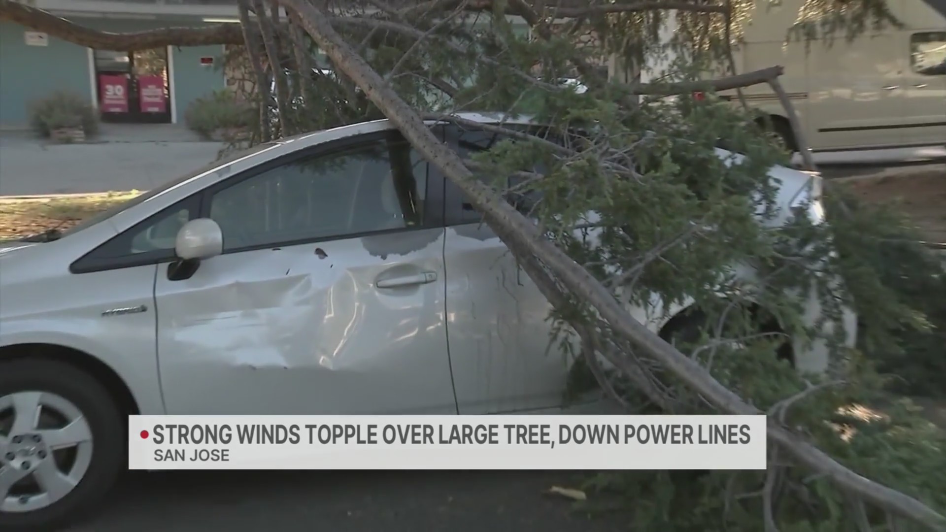 Strong winds topple over large tree, down power lines in San Jose – KRON4