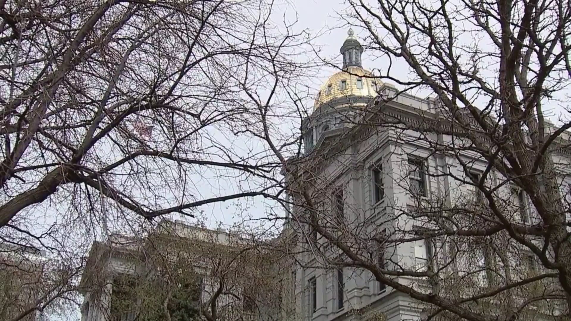 Polis signs bill to expand reach of red flag law – FOX31 Denver