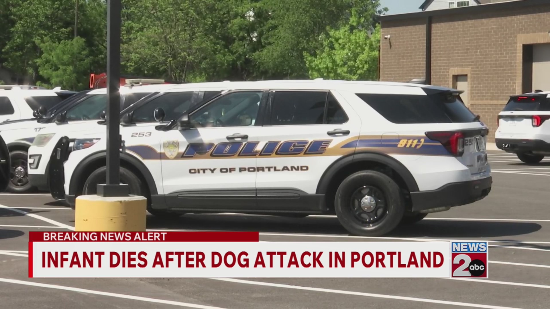 Infant dies after dog attack in Portland – WKRN News 2