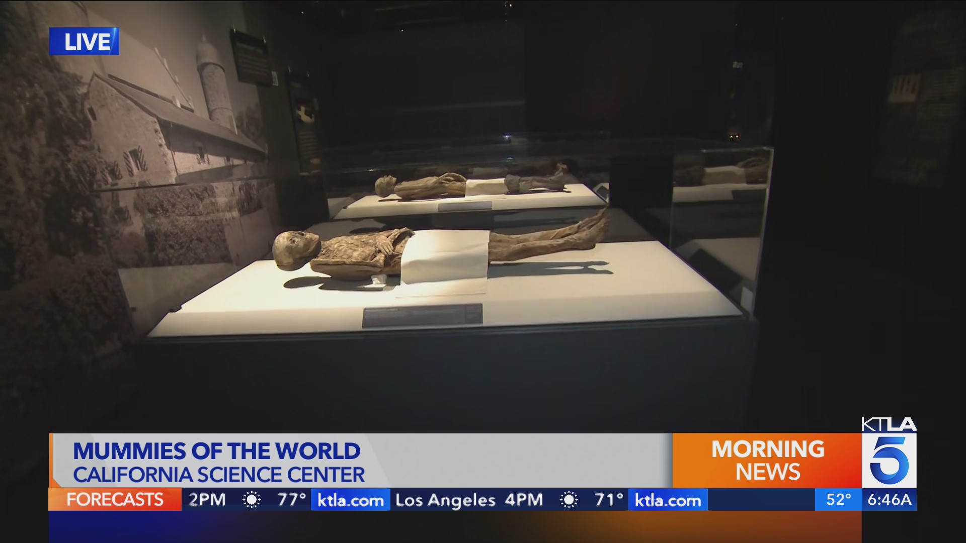 Mummies of the World at the California Science Center – KTLA