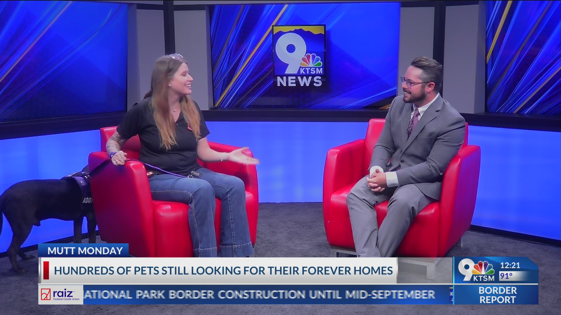 Hundreds pets with El Paso Animal Services available for adoption