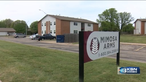 Autopsy report released after Kansas mom charged with murder in toddler ...