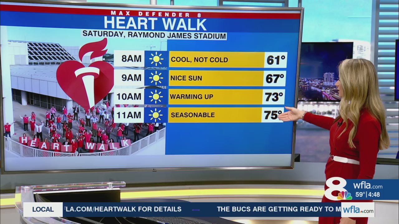 Sunny, warm and dry through the weekend – WFLA