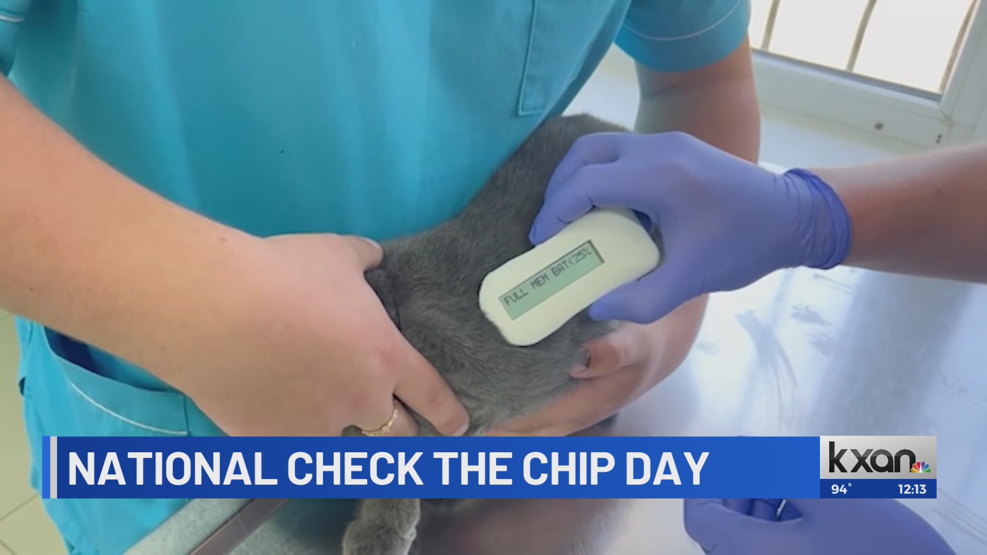 Pets and microchips