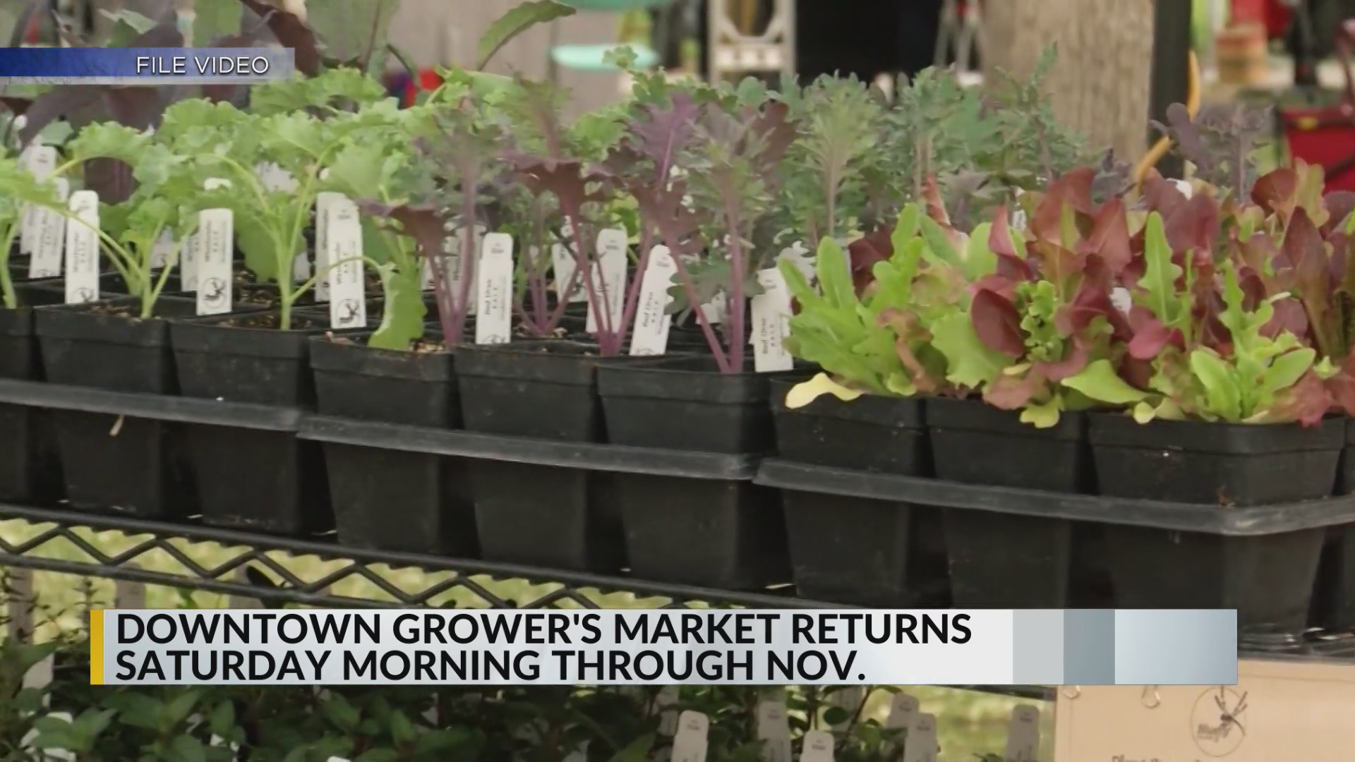 Downtown Growers’ Market in Albuquerque kicks off 2026 season on ...