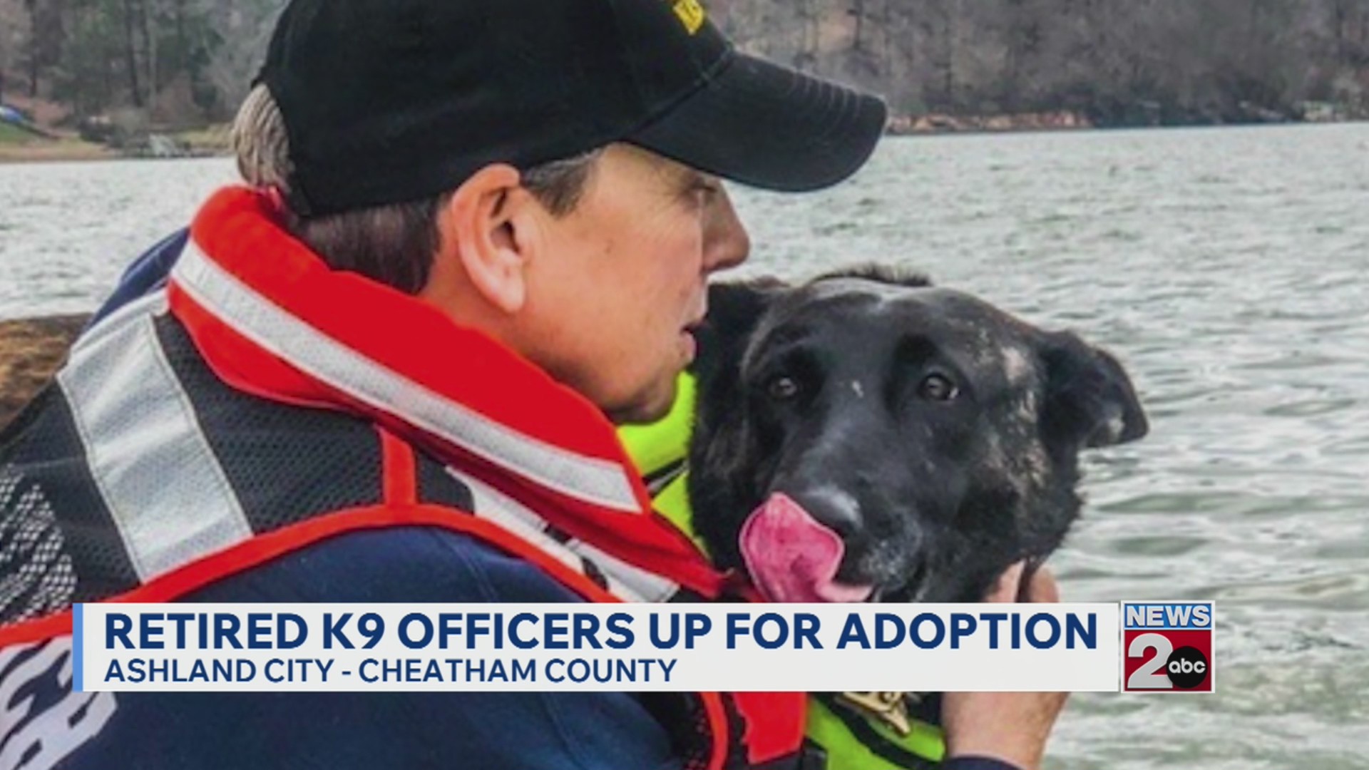 Retired K-9 officers up for adoption – WKRN News 2