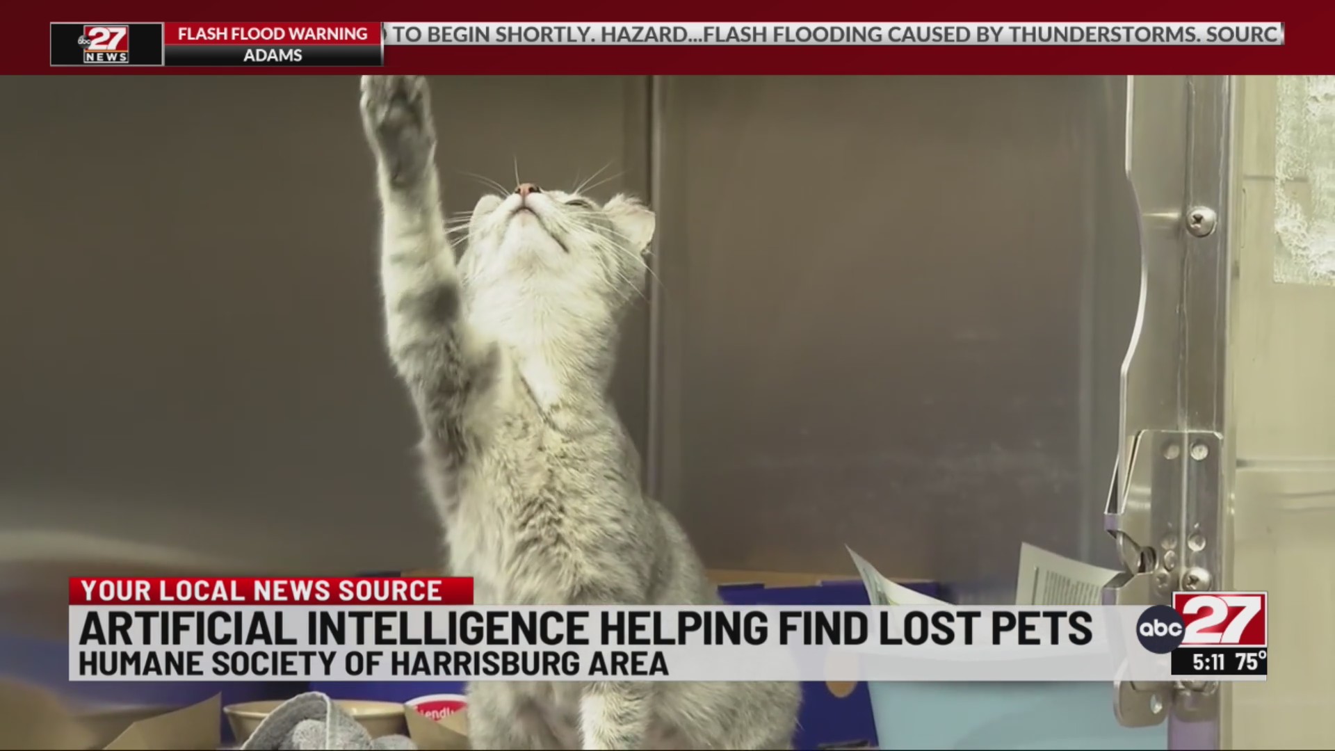 Midstate animal shelter using AI to find lost pets