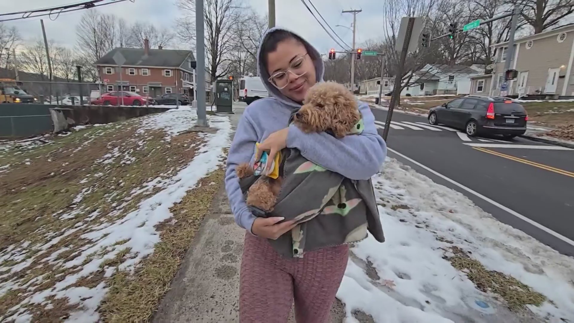 Lost dog reunited with family after being found by delivery driver in ...