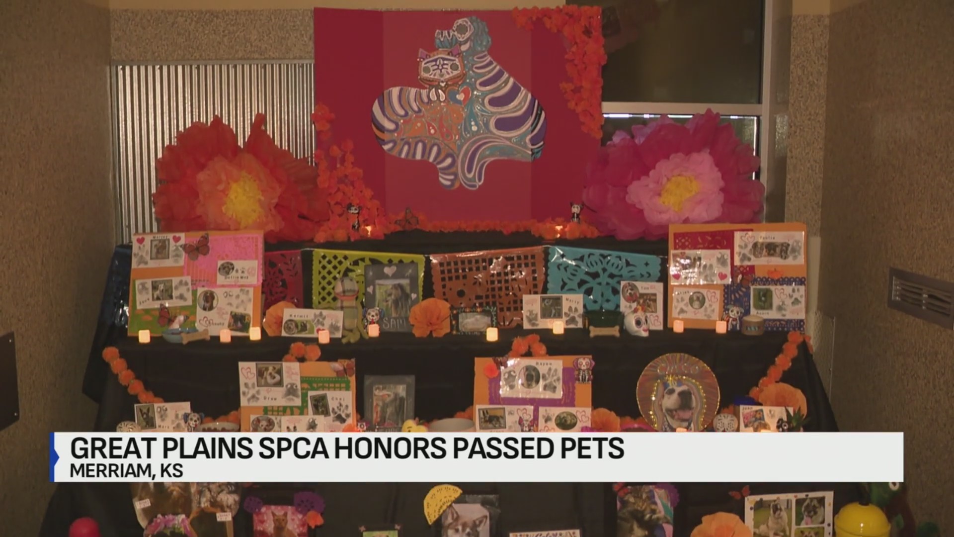 Great Plains SPCA honor passed pets with Día de los Muertos celebration