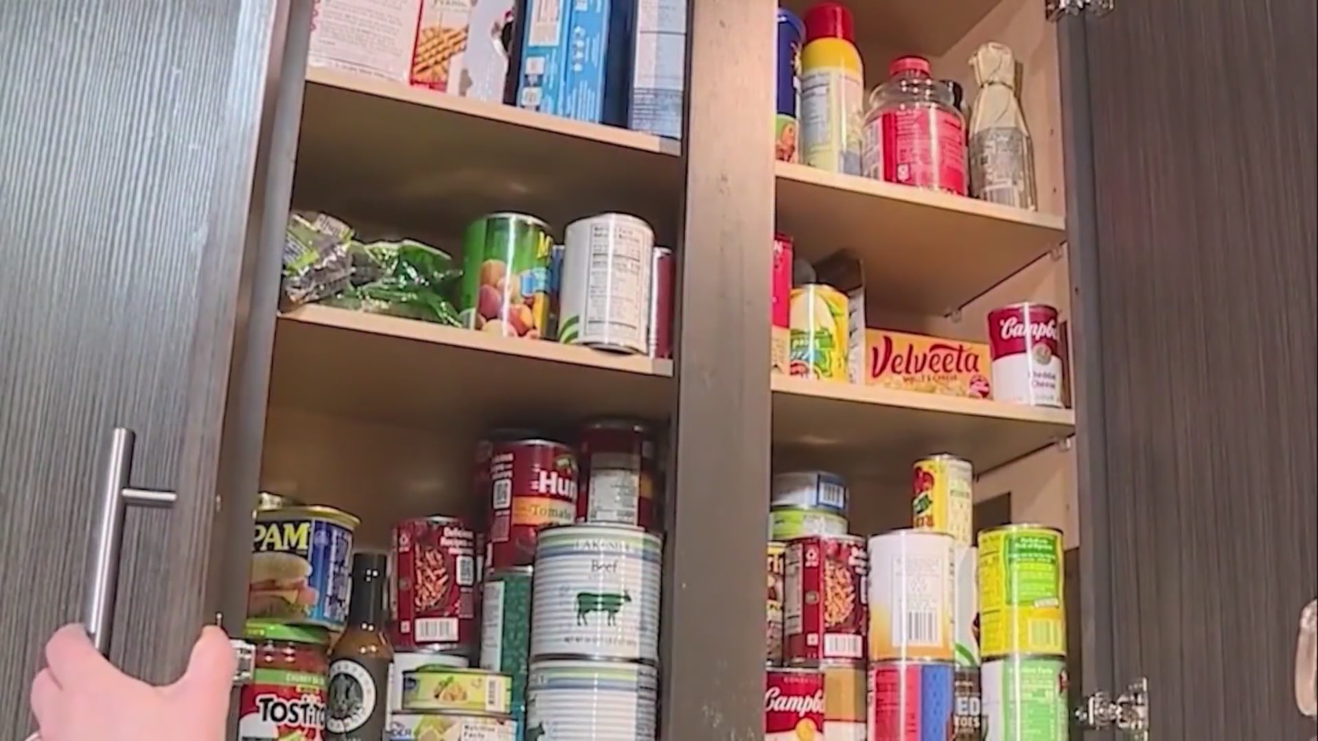 Colorado listed as potential state to lose SNAP benefits – FOX31 Denver