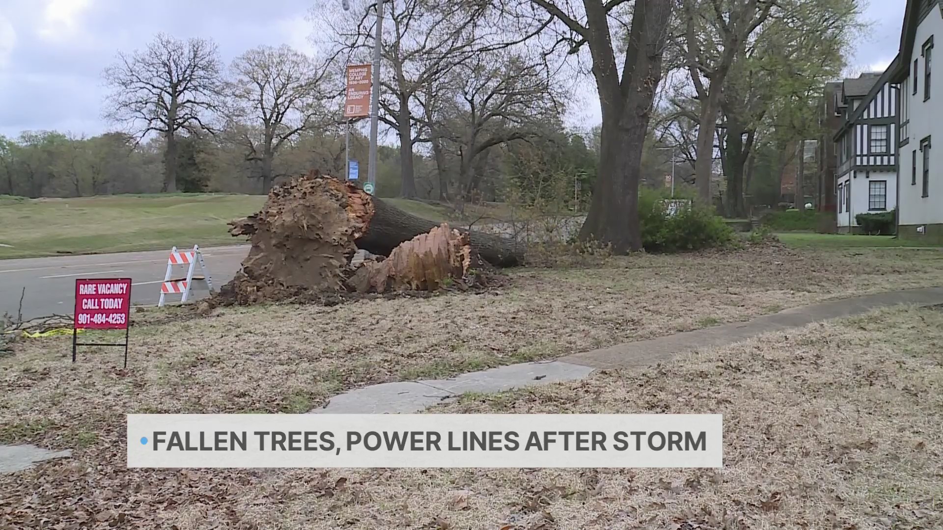 Mid-South residents deal with fallen trees, power outages after storm ...