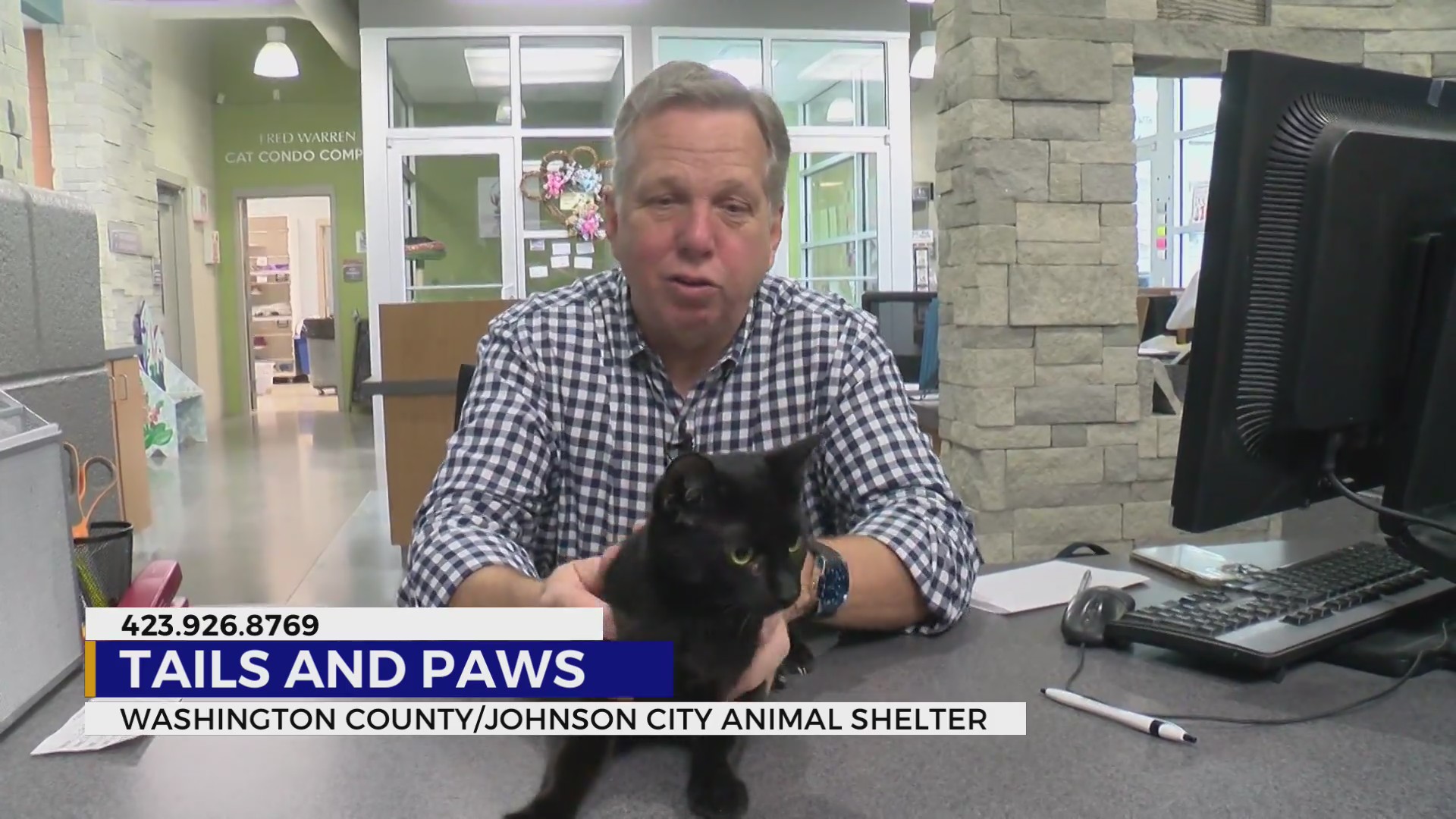 Time to adopt these friendly pets – WJHL | Tri-Cities News & Weather