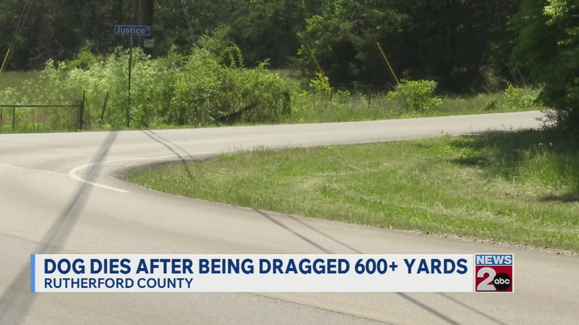 Dog dies after being dragged more than 600 yards in Rutherford County ...