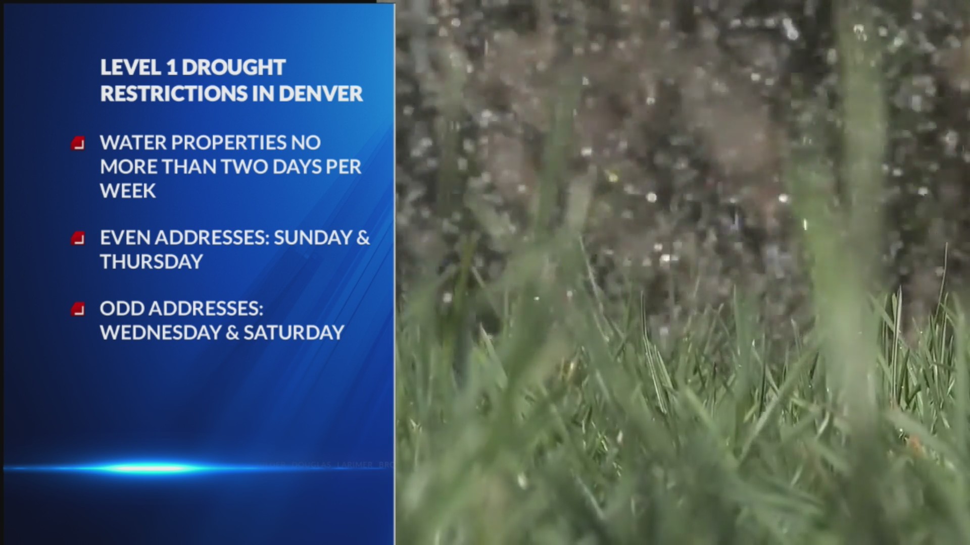 Mandatory watering restrictions ordered for Denver amid drought – FOX31 ...