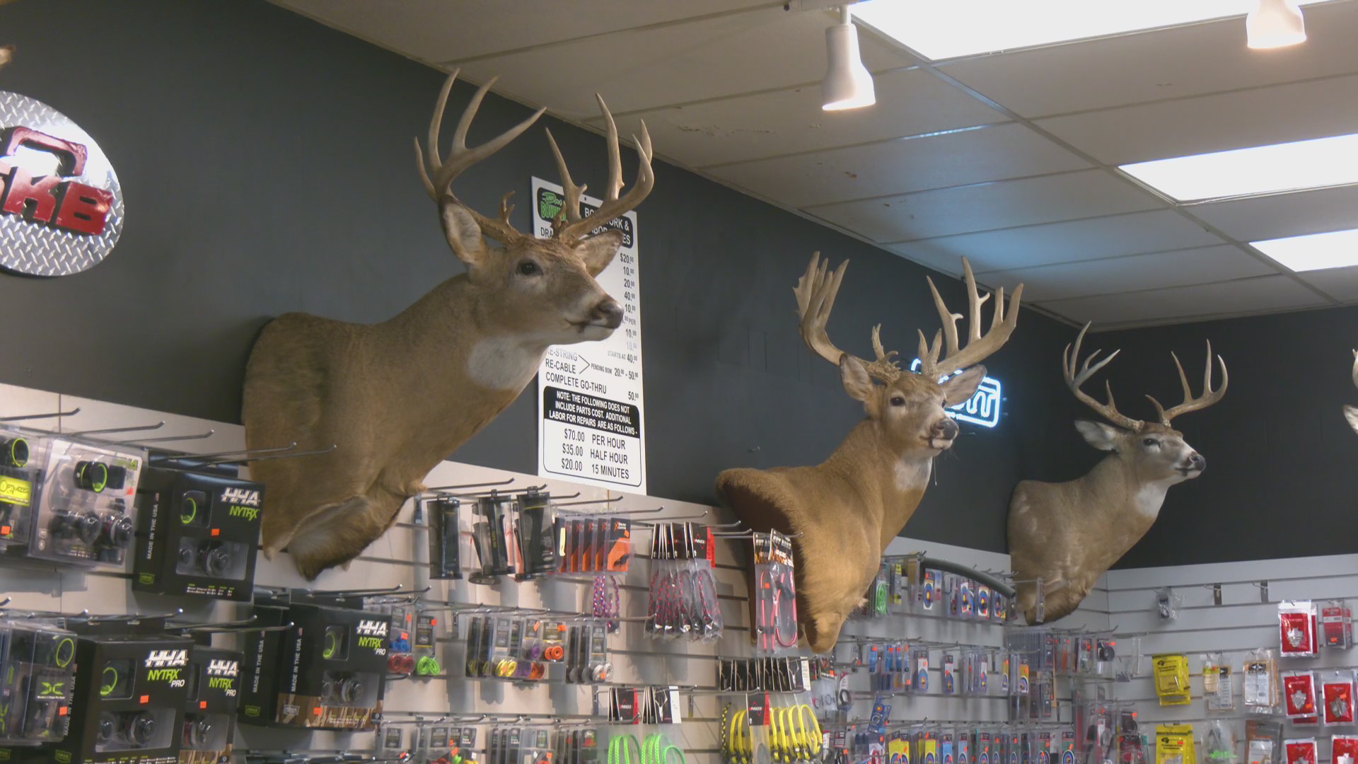 NY launches 'Earn-a-2nd-Buck' program for deer control