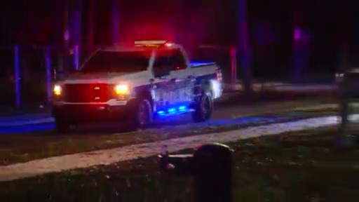 Clearwater police investigate double shooting near park – WFLA