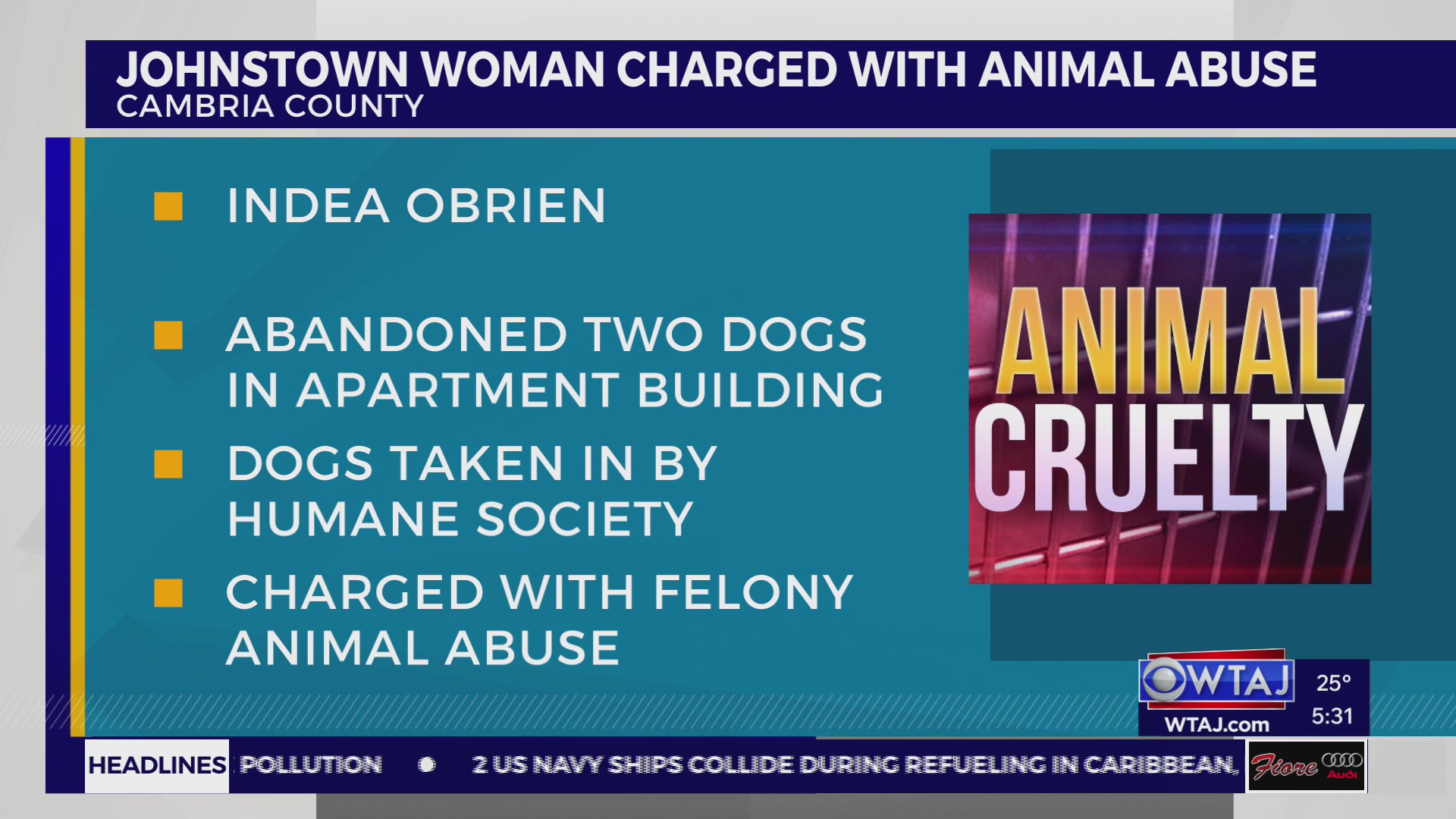 Johnstown woman charged after two dogs found abandoned in cage – WTAJ ...