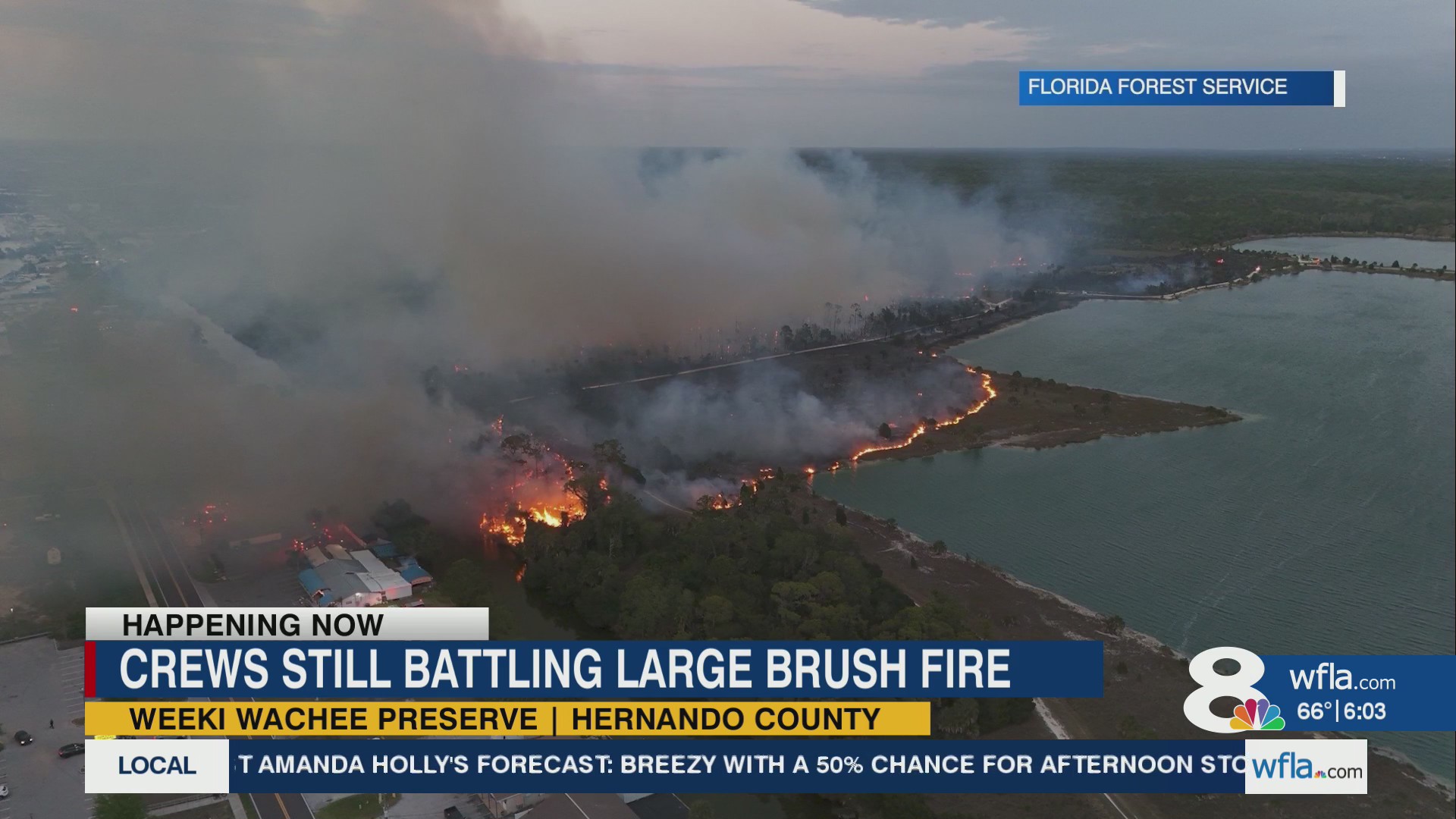 Crews fight large brush fire in Hernando County – WFLA