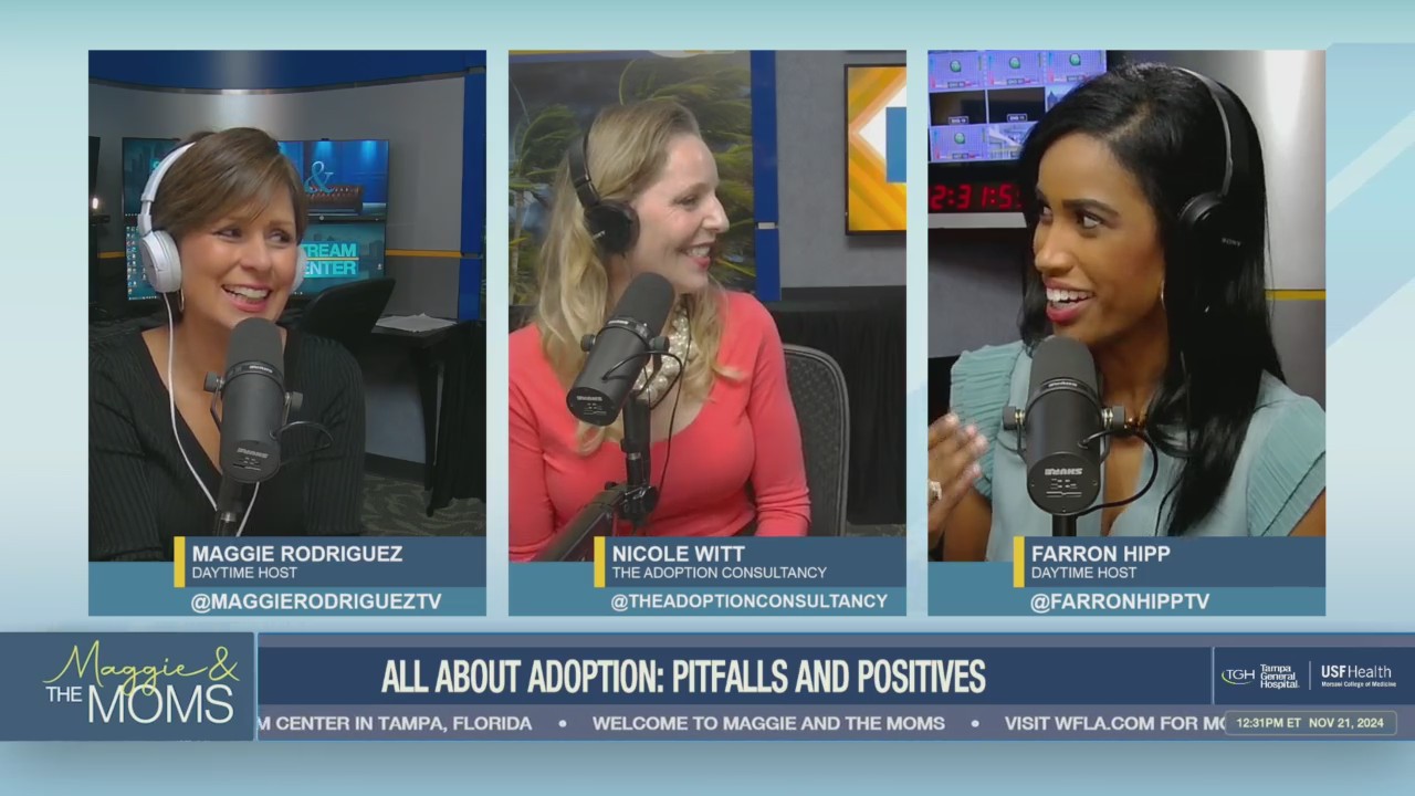 Adoption: The Positives and Pitfalls episode artwork