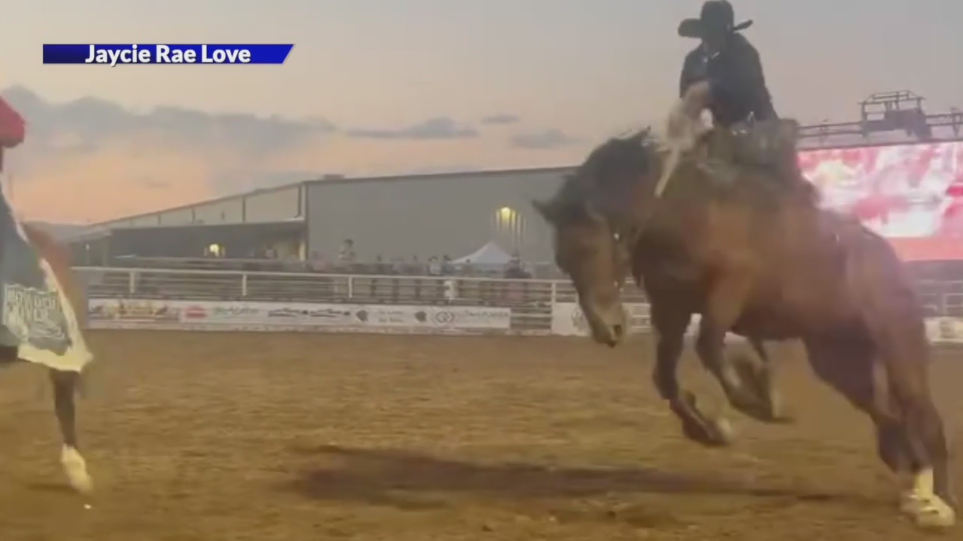 Colorado bronc rider recovering after injury at NWSS rodeo – FOX31 Denver