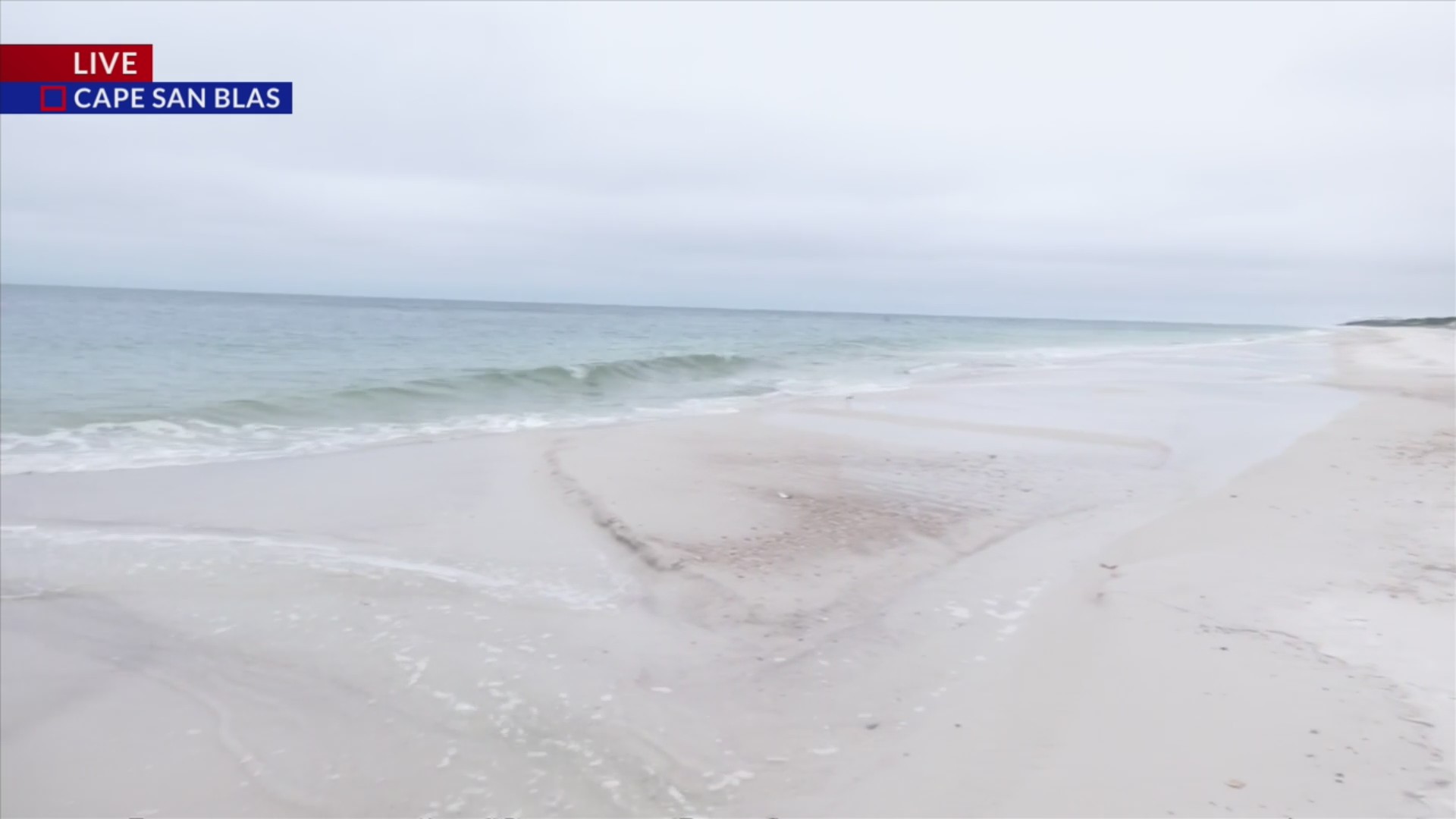 Sea turtle nesting season begins, helpful tips for beachgoers ...