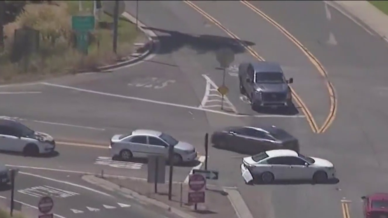 Driver leads police on pursuit throughout San Diego County – FOX 5 San ...
