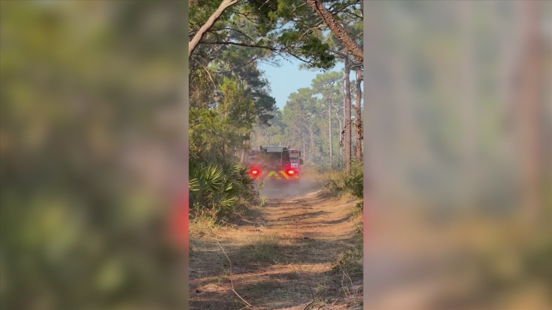 4 acre fire in Point Washington State Forest reaches 95% containment ...