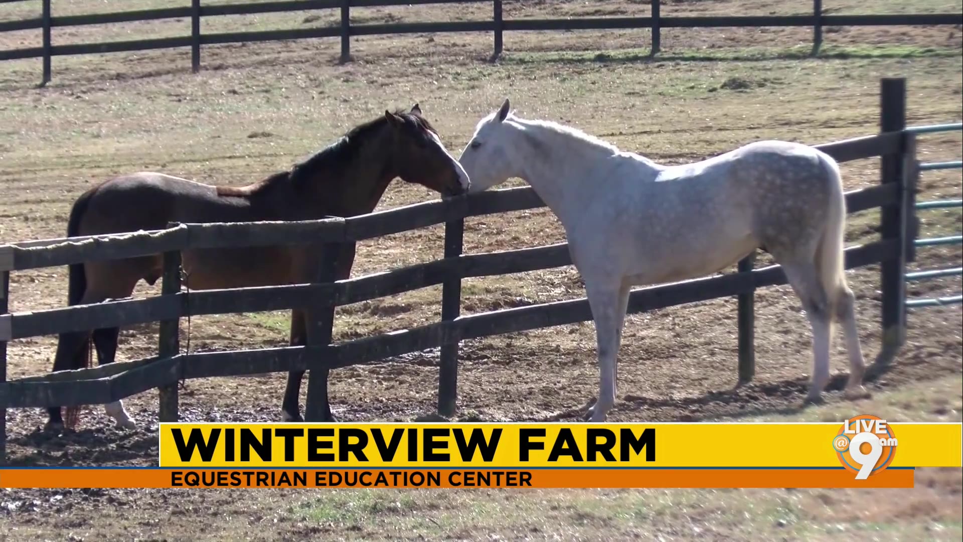 Winterview Farm – WJTV