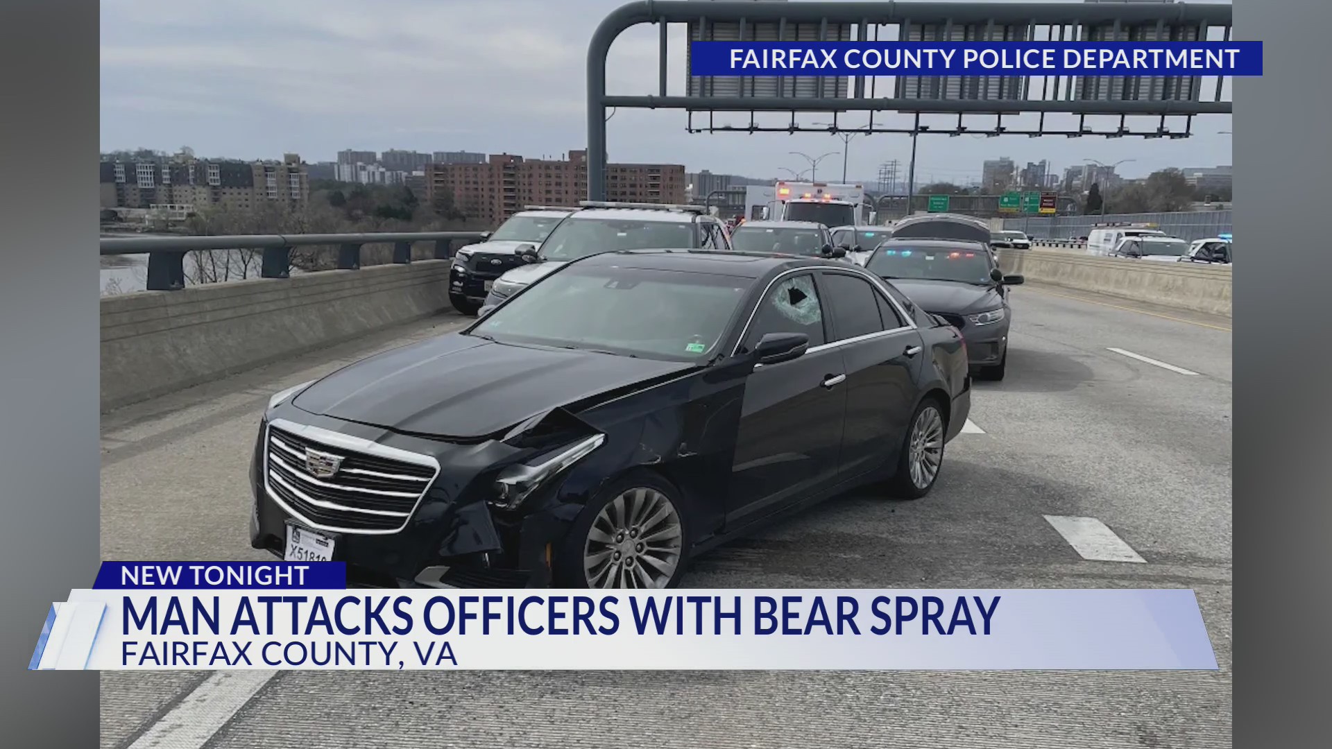 Arlington man arrested after police chase ends in bear spray attack ...