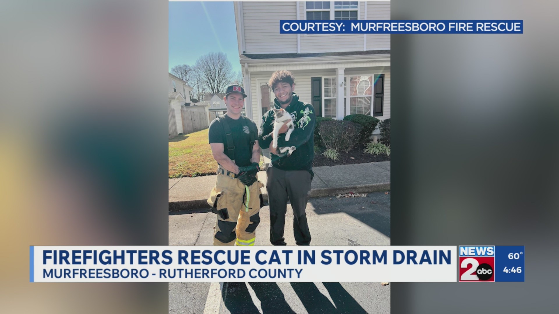 Murfreesboro firefighters rescue cat in storm drain – WKRN News 2