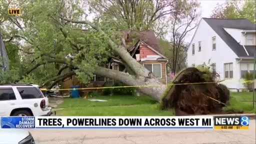 Trees, power lines down across West Michigan – WOODTV.com