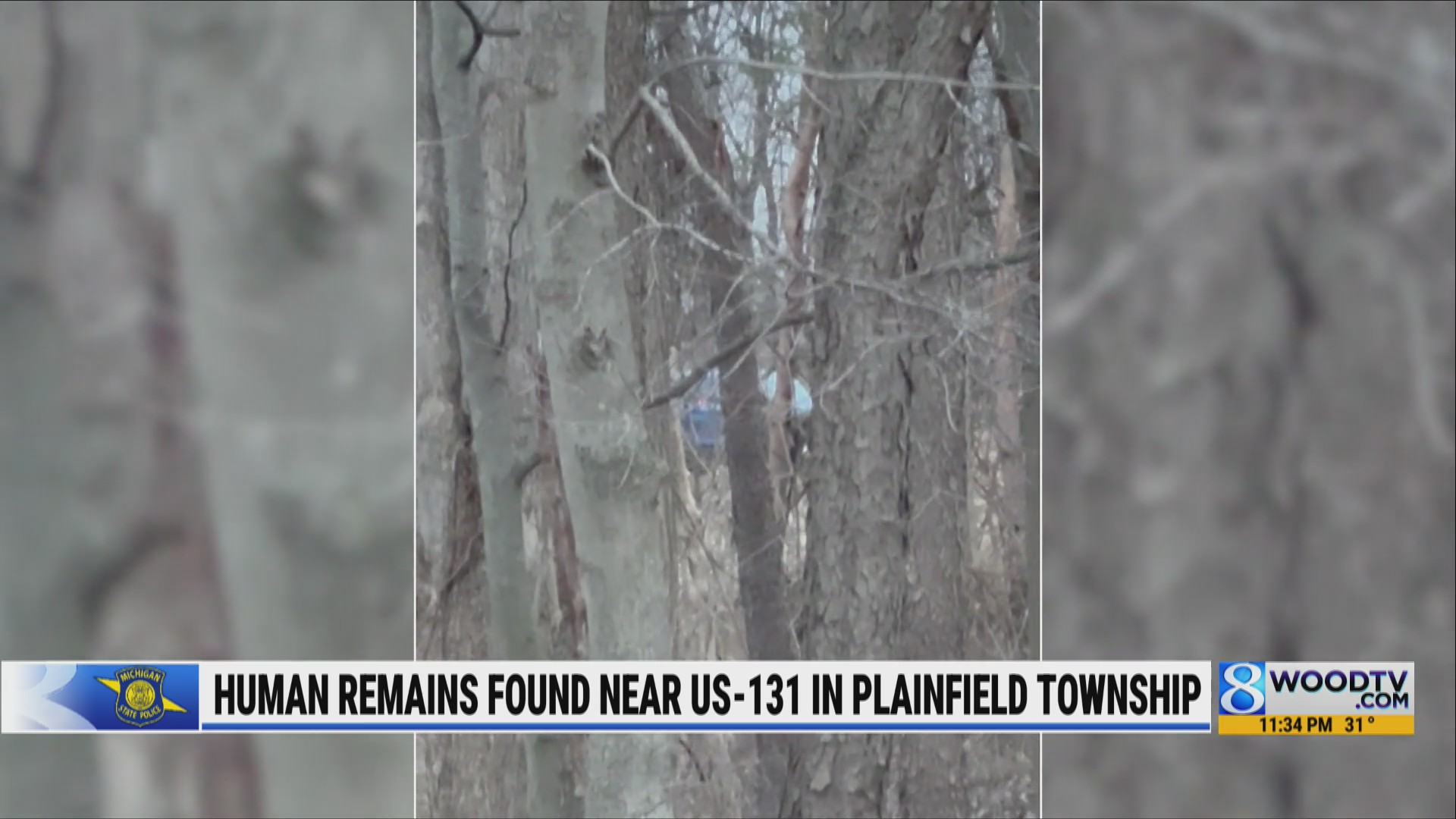Human remains found near US-131 in Plainfield Township, police say ...