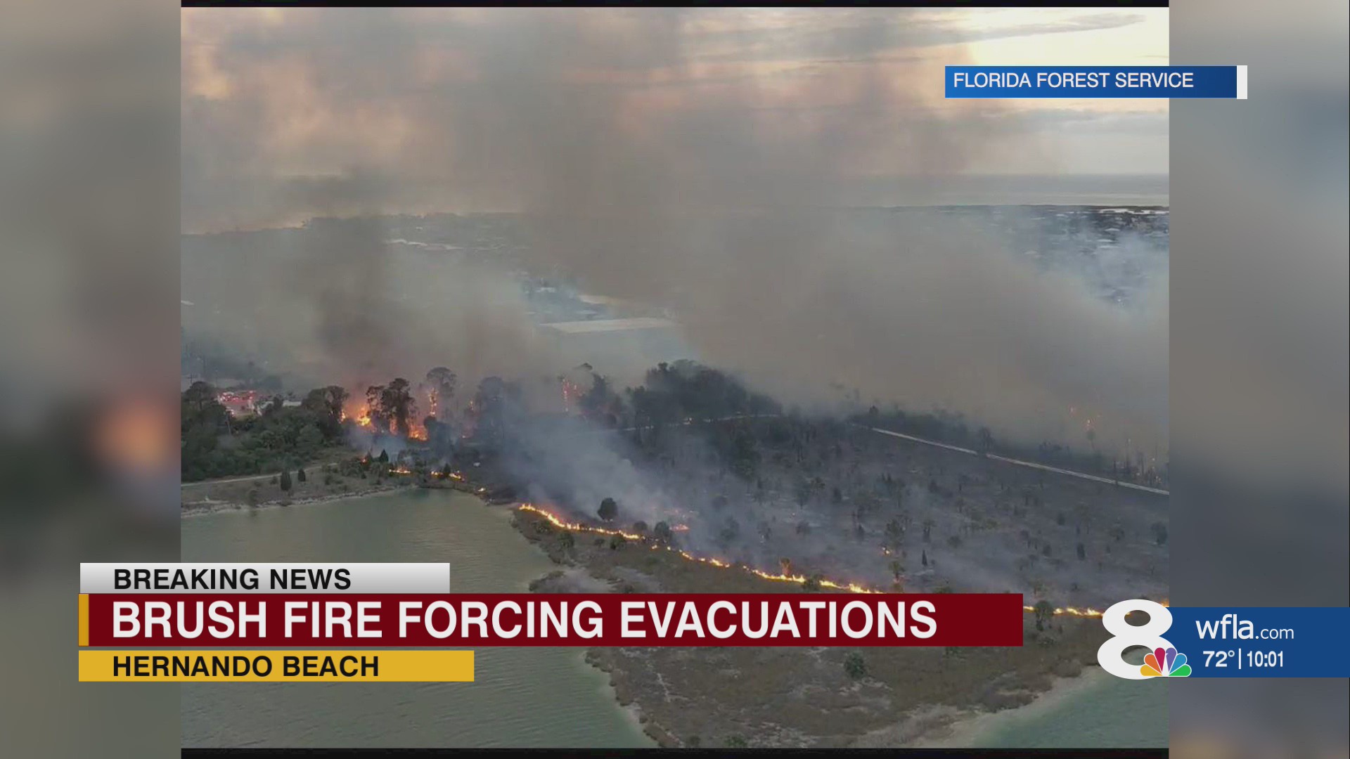 Mandatory evacuations ordered in Hernando Beach due to large brush fire ...
