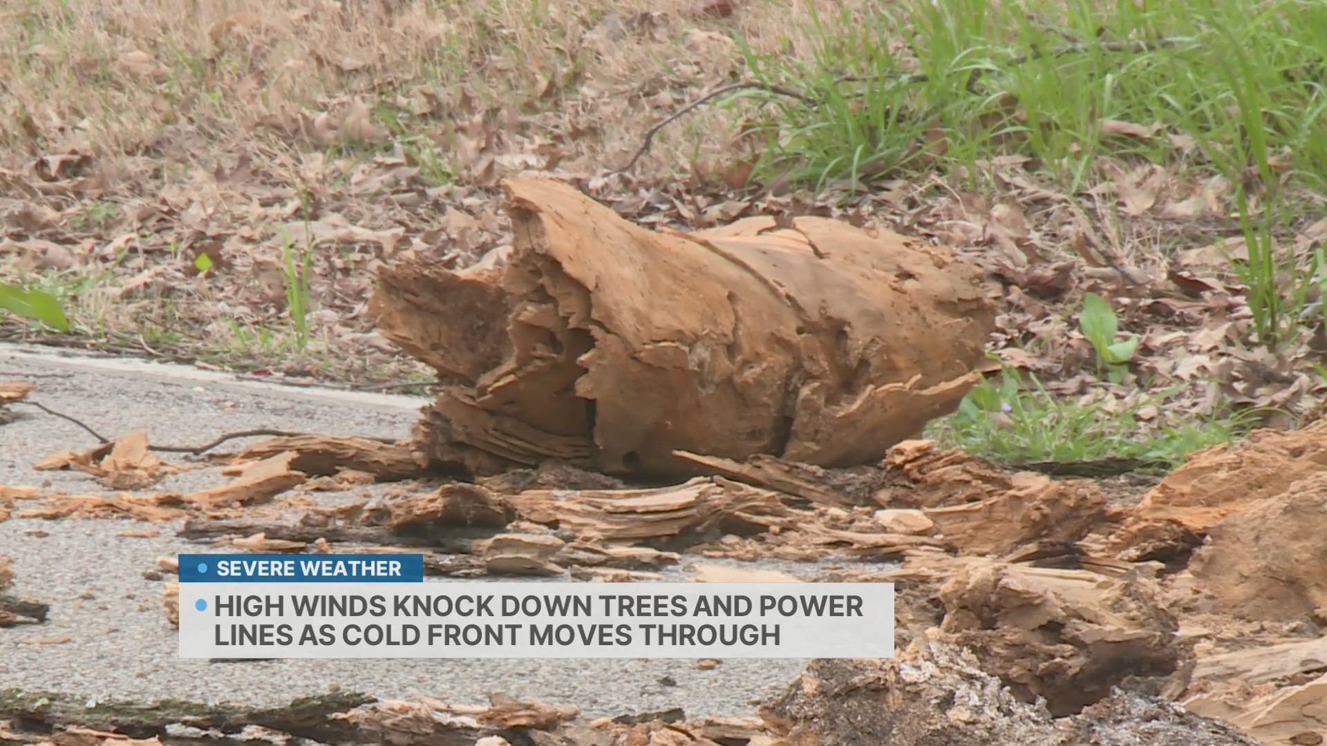 High winds knock down trees and power lines as cold front moves through ...