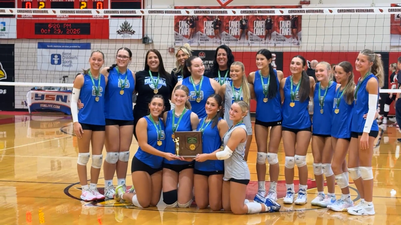 Lakeview volleyball captures district championship