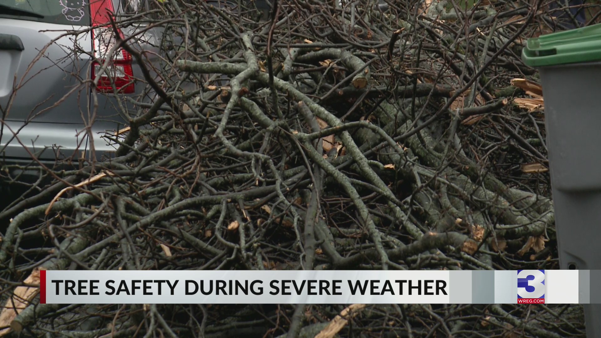 Flump Tree Check In Experts advise tree checks after severe weather – WREG.com
