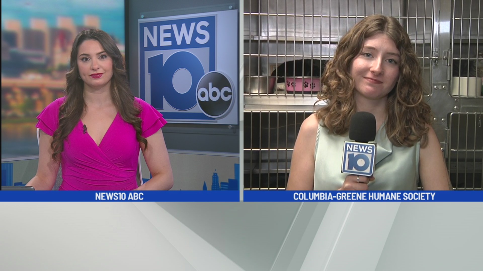 Columbia-Greene Humane Society hosts free pet adoptions