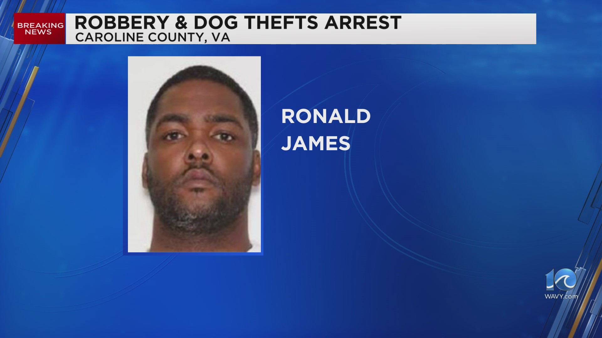 Newport News man charged with armed robbery of French Bulldogs – WAVY.com
