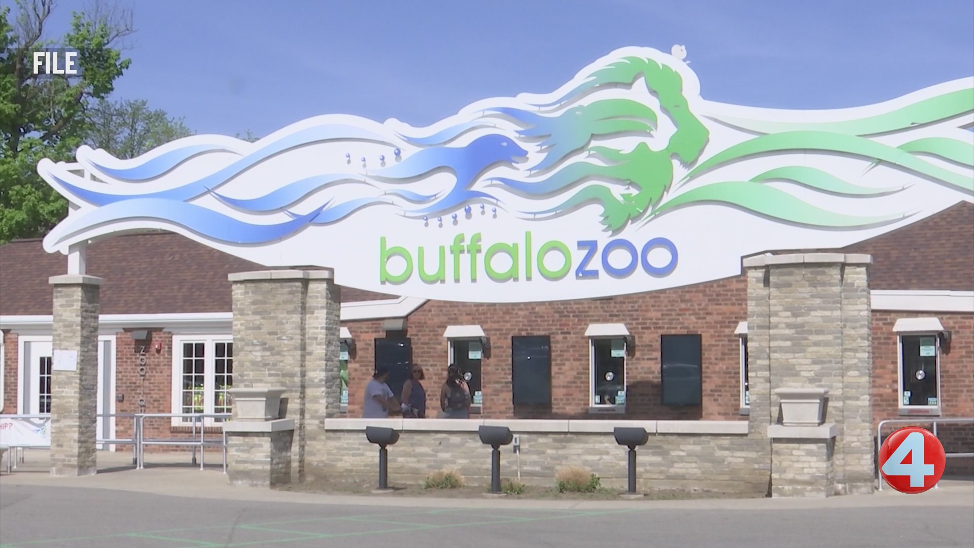 Buffalo Zoo targeted by swatting call – News 4 Buffalo