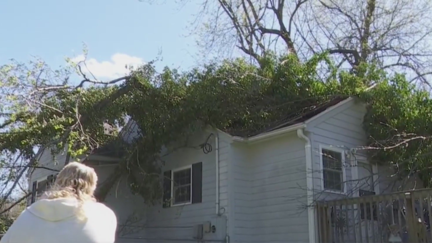 Graham family cleaning up after tree falls on home – FOX8 WGHP