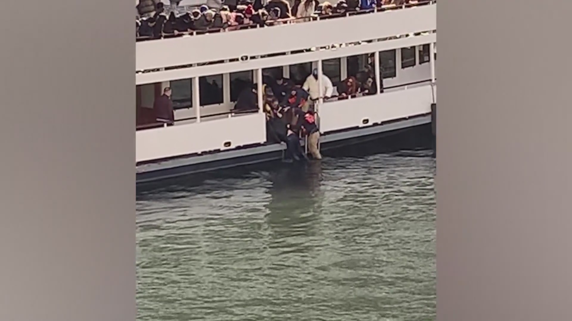 Water Rescues Chicago Chicago River Rescue: Crew and passengers from Wendella pull man from ...