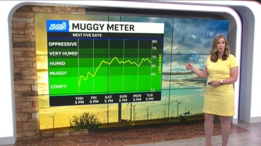 Rain chances and humidity set to rise into the weekend – Fox 59