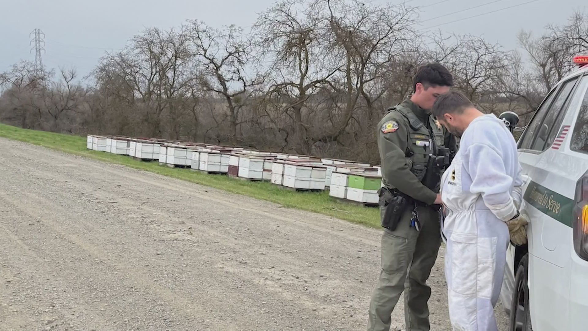 Man accused of stealing over 150 beehives from Gustine property – CBS47 ...