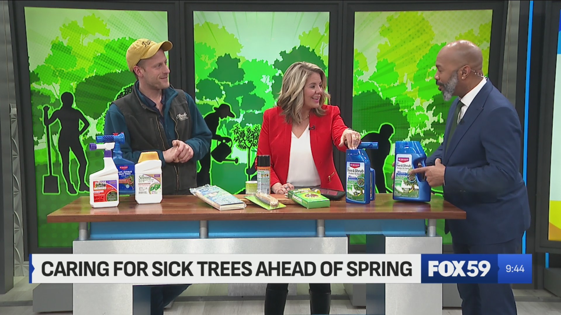 Spring Sick Caring for sick trees ahead of spring – Fox 59