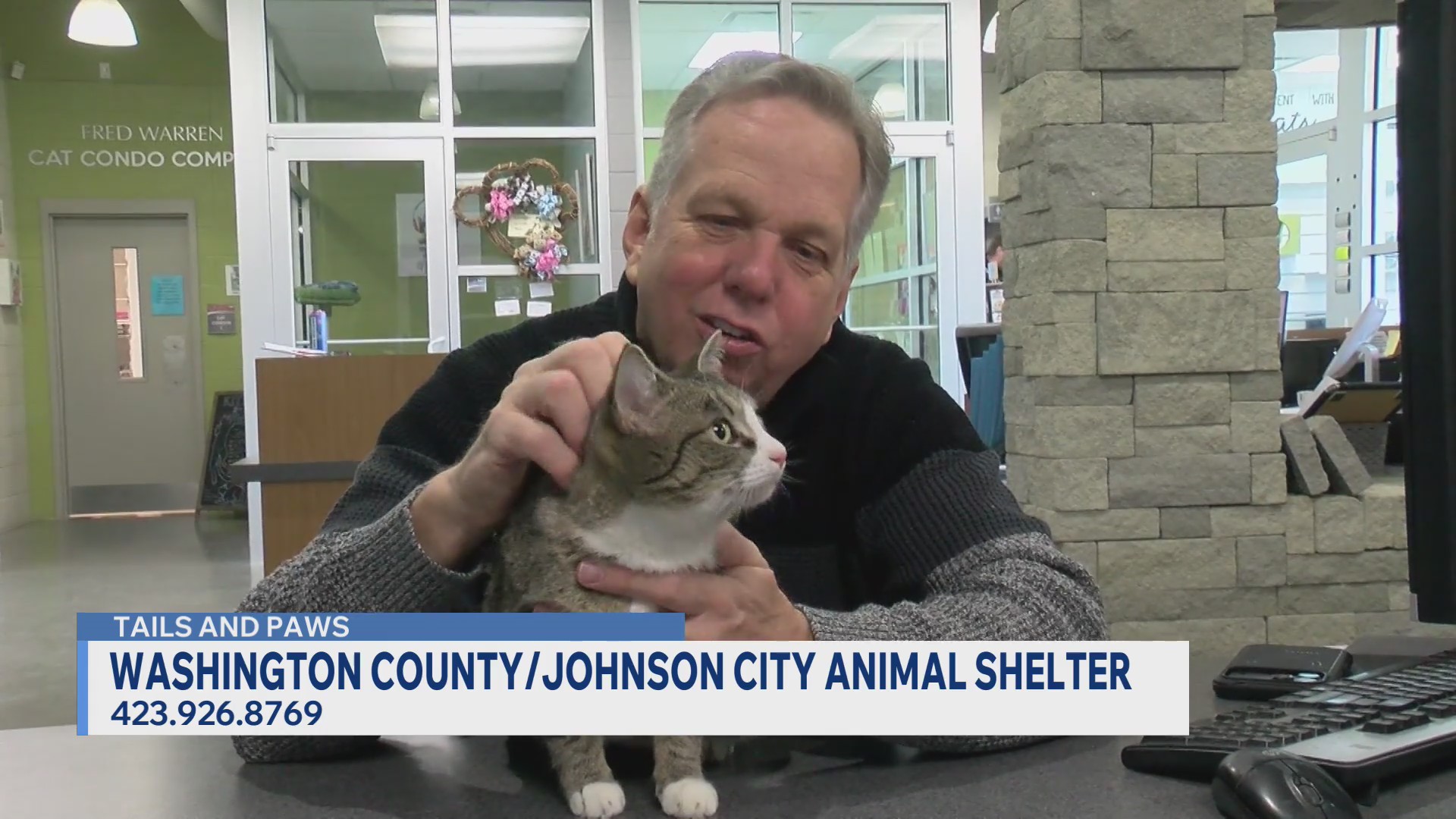 Time to adopt these adorable pets – WJHL | Tri-Cities News & Weather