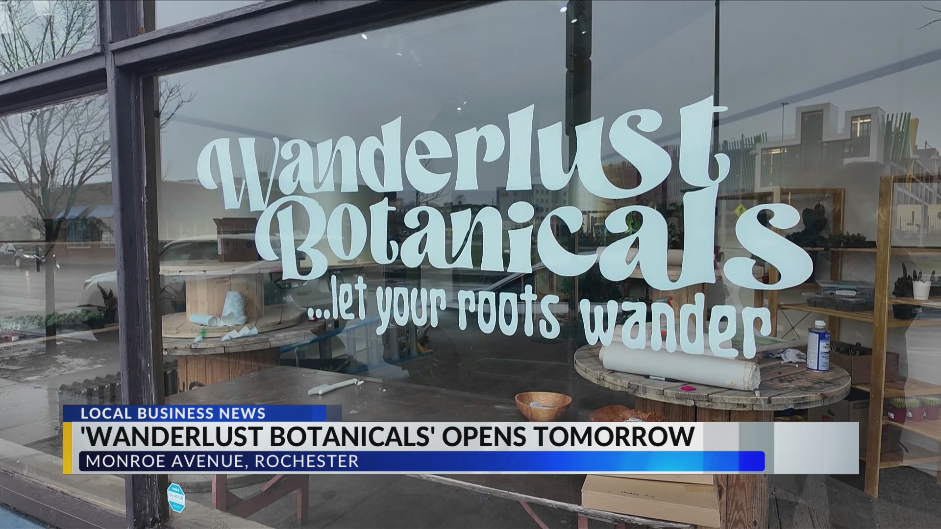 Wanderlust Botanicals brings plant life to Monroe Ave. – RochesterFirst