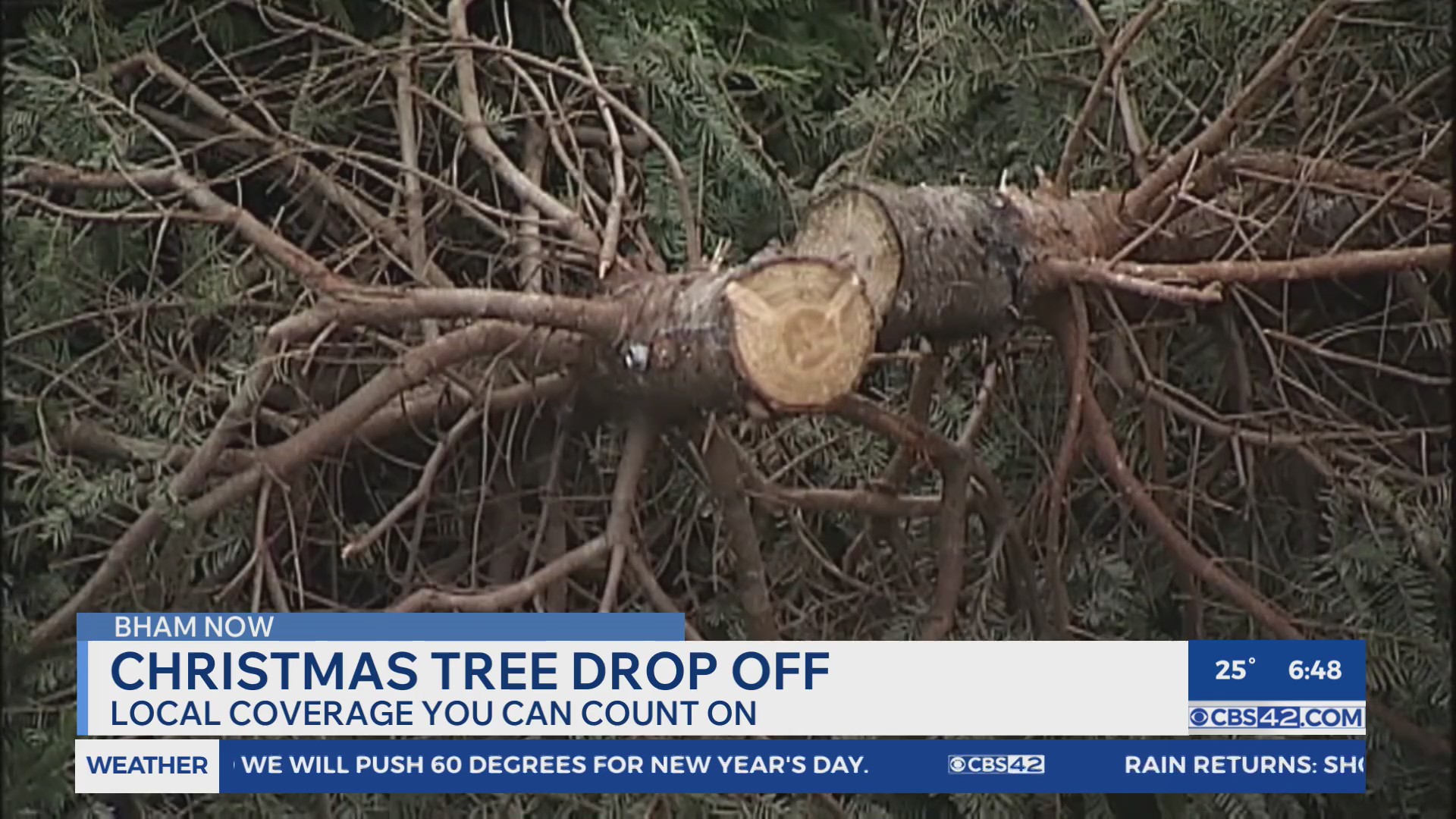 Bham Now Spotlight: Christmas tree drop off spots, places to ring in ...