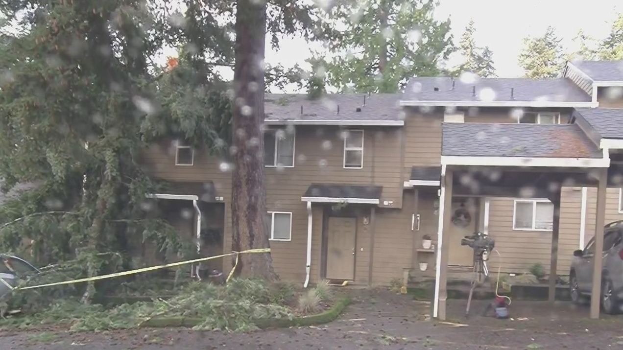 High winds bring down tree that lands on bed in Tualatin apartment ...
