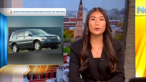 Summerville PD seeking vehicle in deadly hit and run crash – WCBD News 2