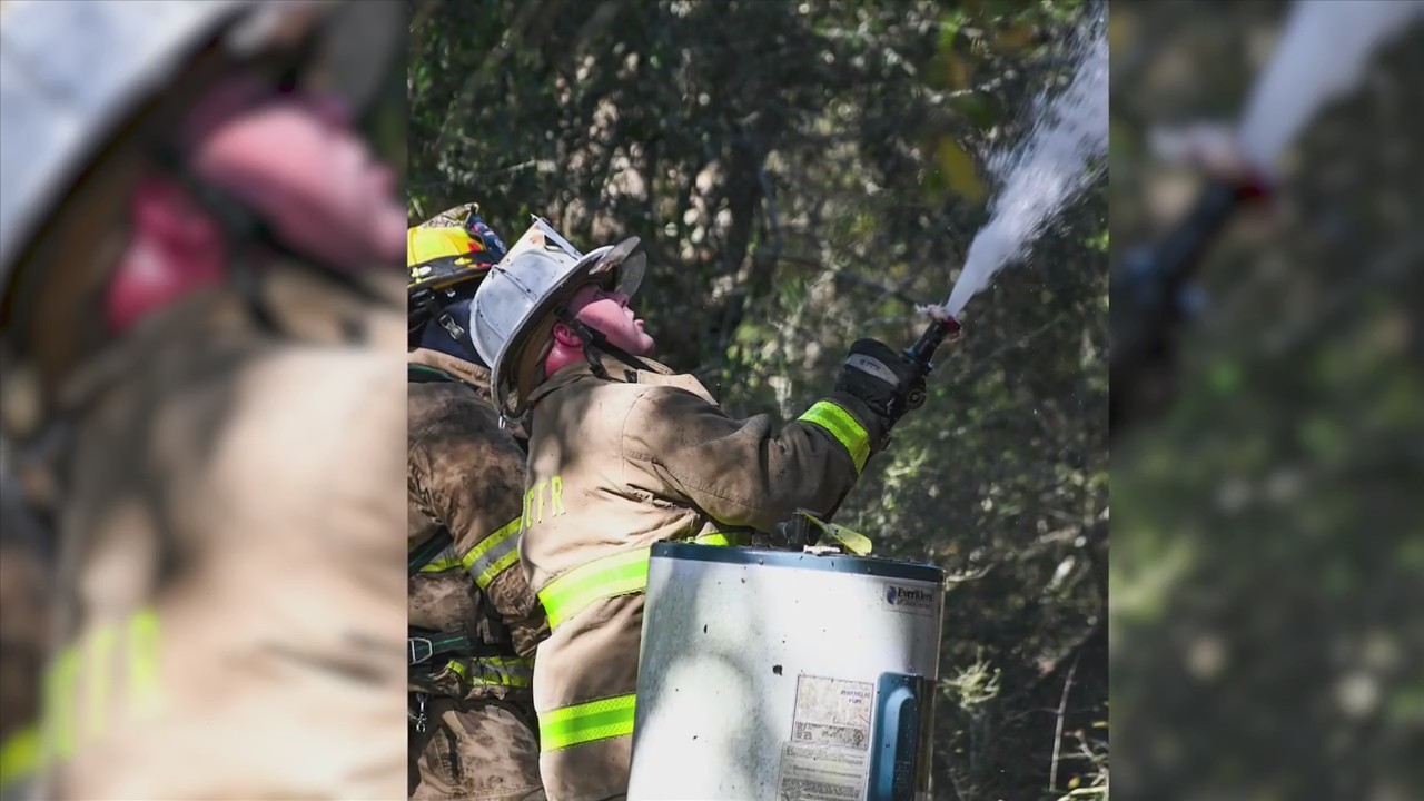 Firefighters quickly contain house fire in Walton County, resident dog ...